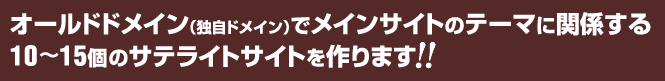 オールドドメイン(独自ドメイン)でメインサイトのテーマに関係する
10?15個のサテライトサイトを作ります!!